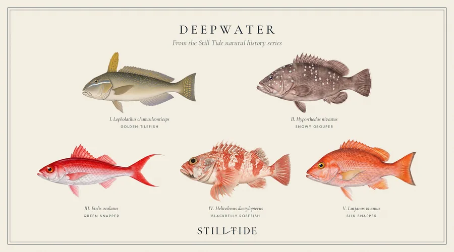 Deepwater