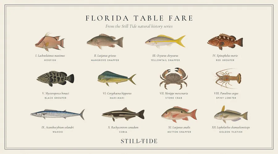 Florida Table Fare collection plate