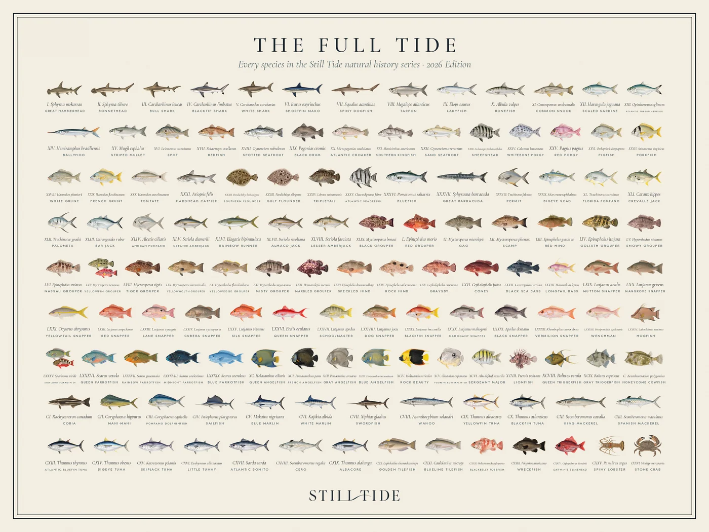 The Full Tide as a puzzle image